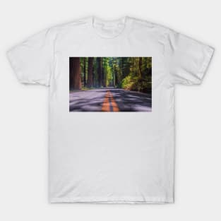 Avenue of The Giants T-Shirt